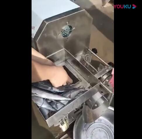 鱼肉采肉机